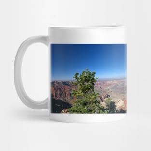 850_8743_P Mug